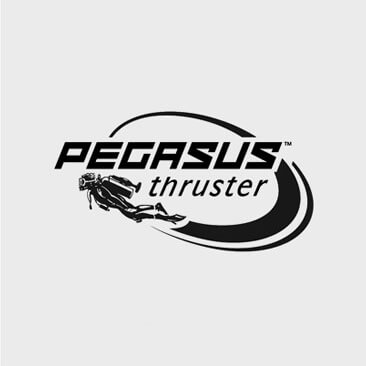 Pegasus thruster logo